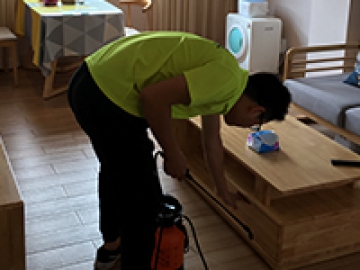 蟑螂防治与消杀服务